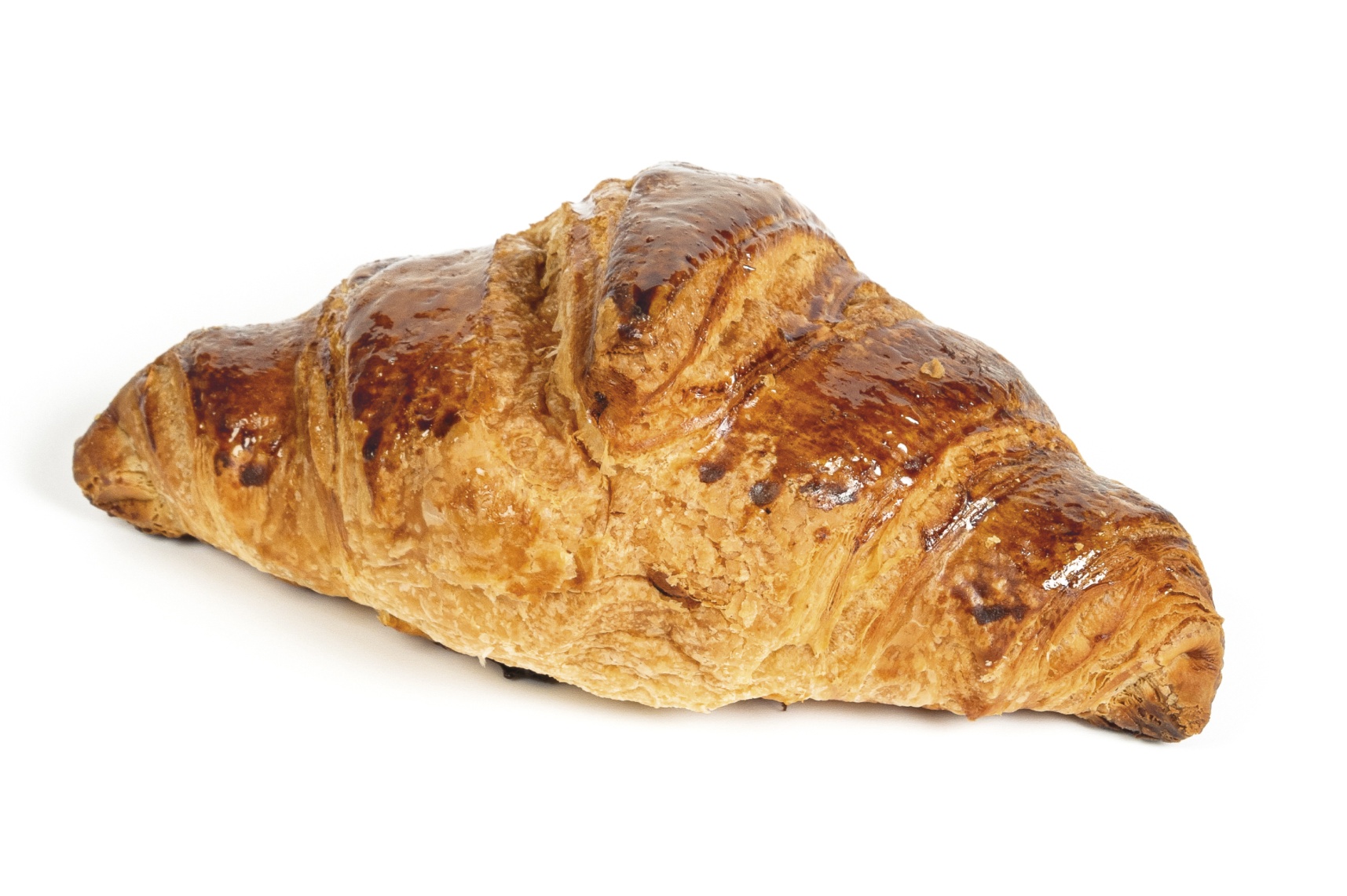 Croissant de Paris ready to prove
